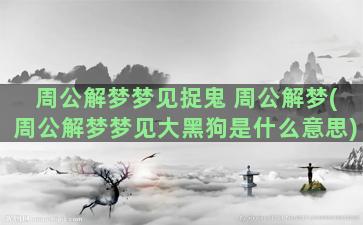 周公解梦梦见捉鬼 周公解梦(周公解梦梦见大黑狗是什么意思)